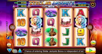 The Reels and Rows of the Stellar Silver Lion Slot